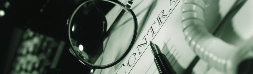 Stelnik Commercial Transaction Attorney